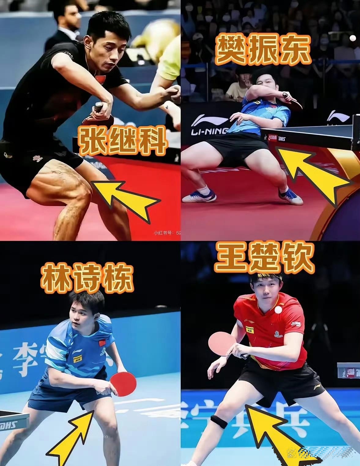 瑞典乒乓球队完胜比利时乒乓球队，张继科绝境逆转的简单介绍