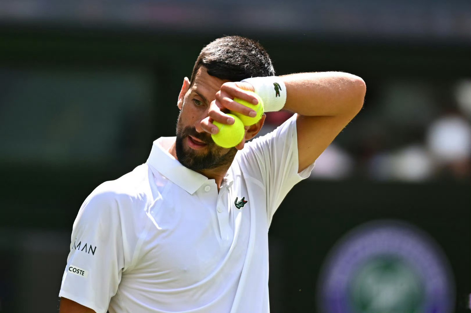 温网横扫ATP总决赛,德约科维奇统治全场 温网横扫ATP总决赛,德约科维奇统治全场