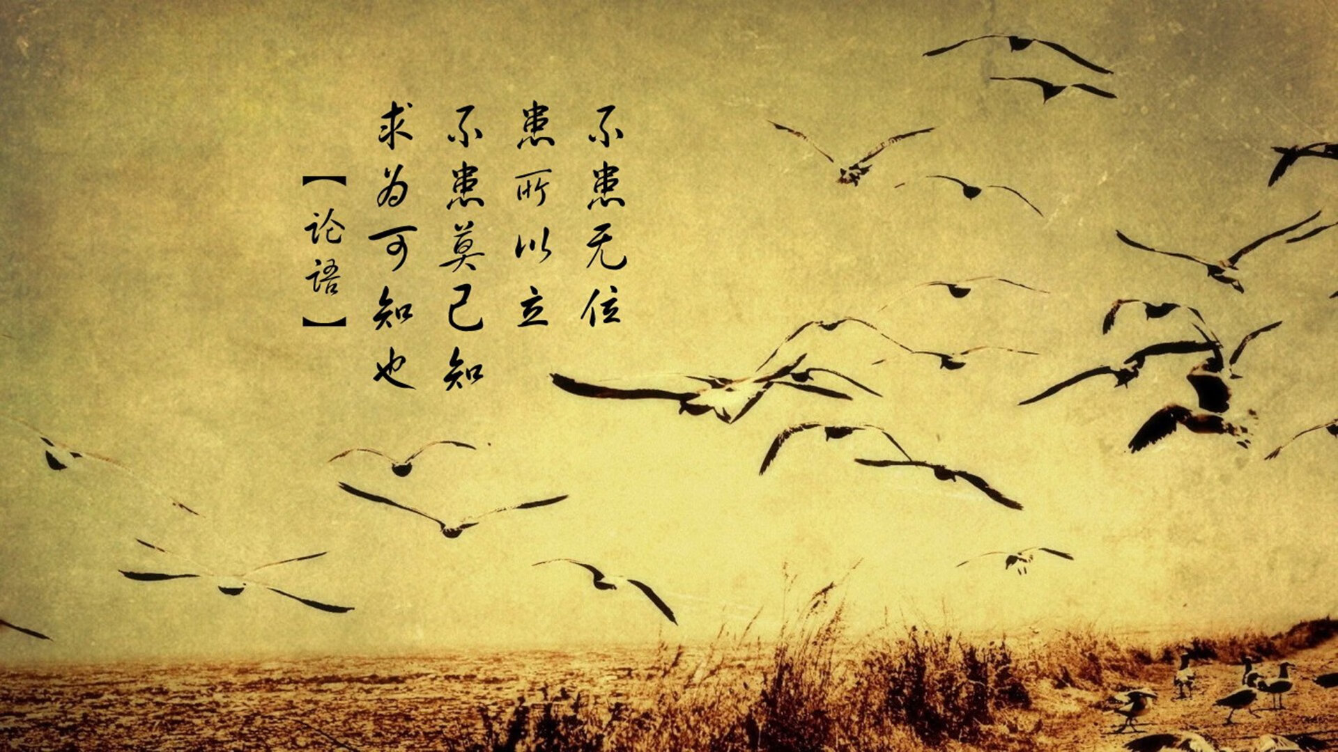 唯一性的胜利，勒克莱尔统治全场，红牛二队绝杀阿斯顿马丁