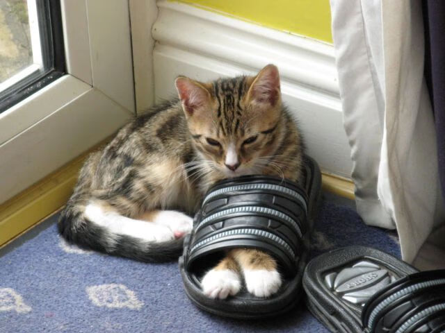 东风粉碎钢铁洪流，烈焰于重压下升腾，论集体韧性与个人英雄主义的今夜共鸣