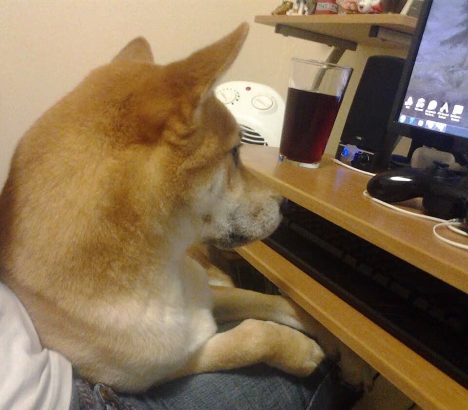 冰与火之歌，伦纳德的死亡缠绕与雷霆的集体洪流