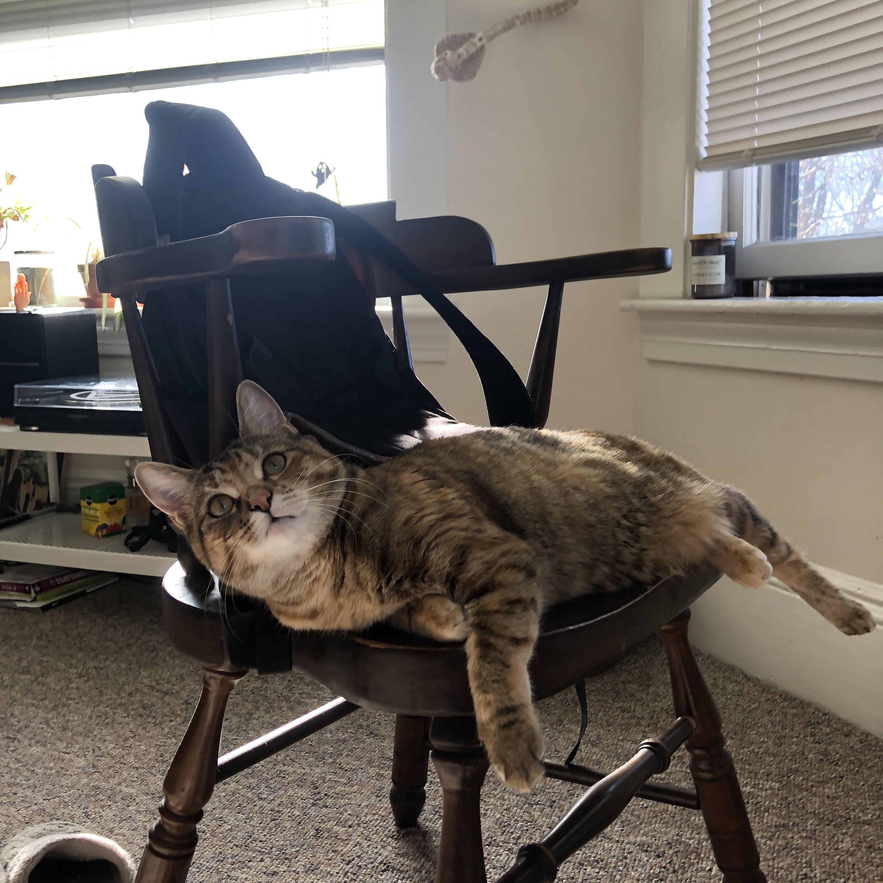 新生代内线的不同解法，恩比德碾碎猛龙，小贾伦接管季后赛战场