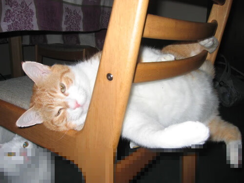 无声的咆哮，当拜仁的白色机器轰鸣时，巴斯托尼的寂静革命划破夜空