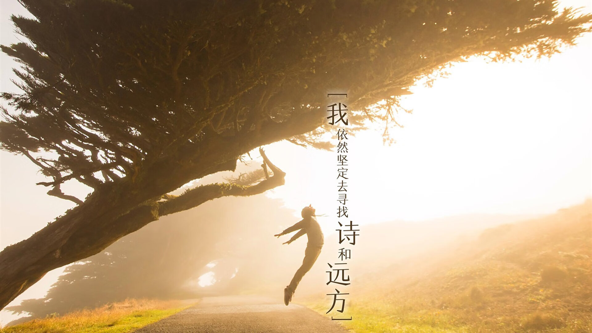 无声的咆哮，当拜仁的白色机器轰鸣时，巴斯托尼的寂静革命划破夜空