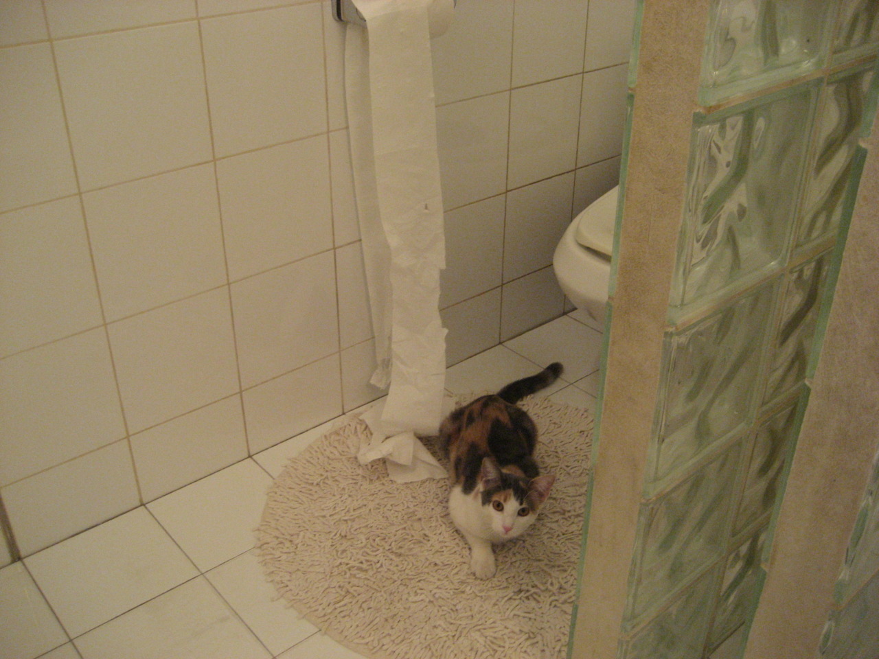 迪巴拉一剑封喉！拉齐奥客场力克挪威劲旅，昂首晋级