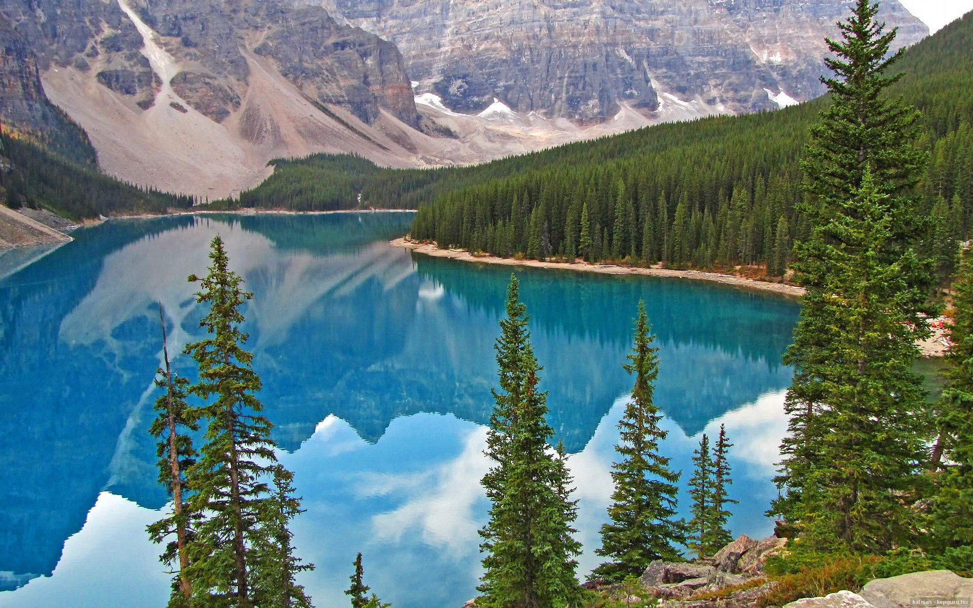 魔术的生死舞台—从NBA对决到世界杯战场，布伦森的双面主宰