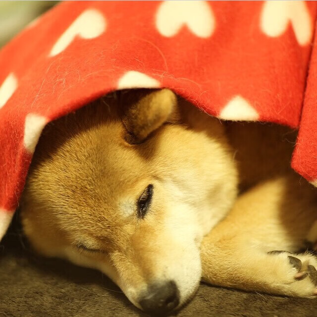 当黄喜灿在欧冠决赛改写历史，毕尔巴鄂竞技如何逆转了伊朗足球的时间线