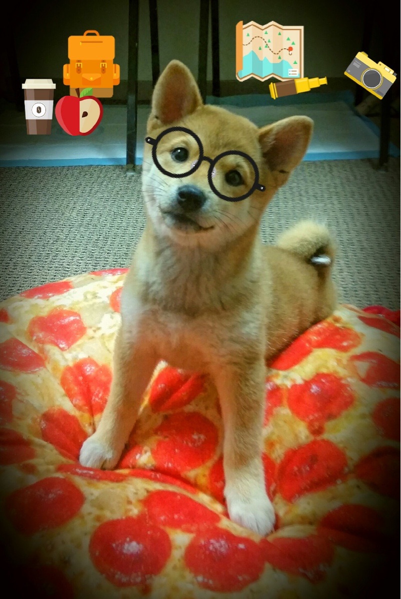 跨越时空的焦点，当2020湖人提前终结1998公牛的东决赛点