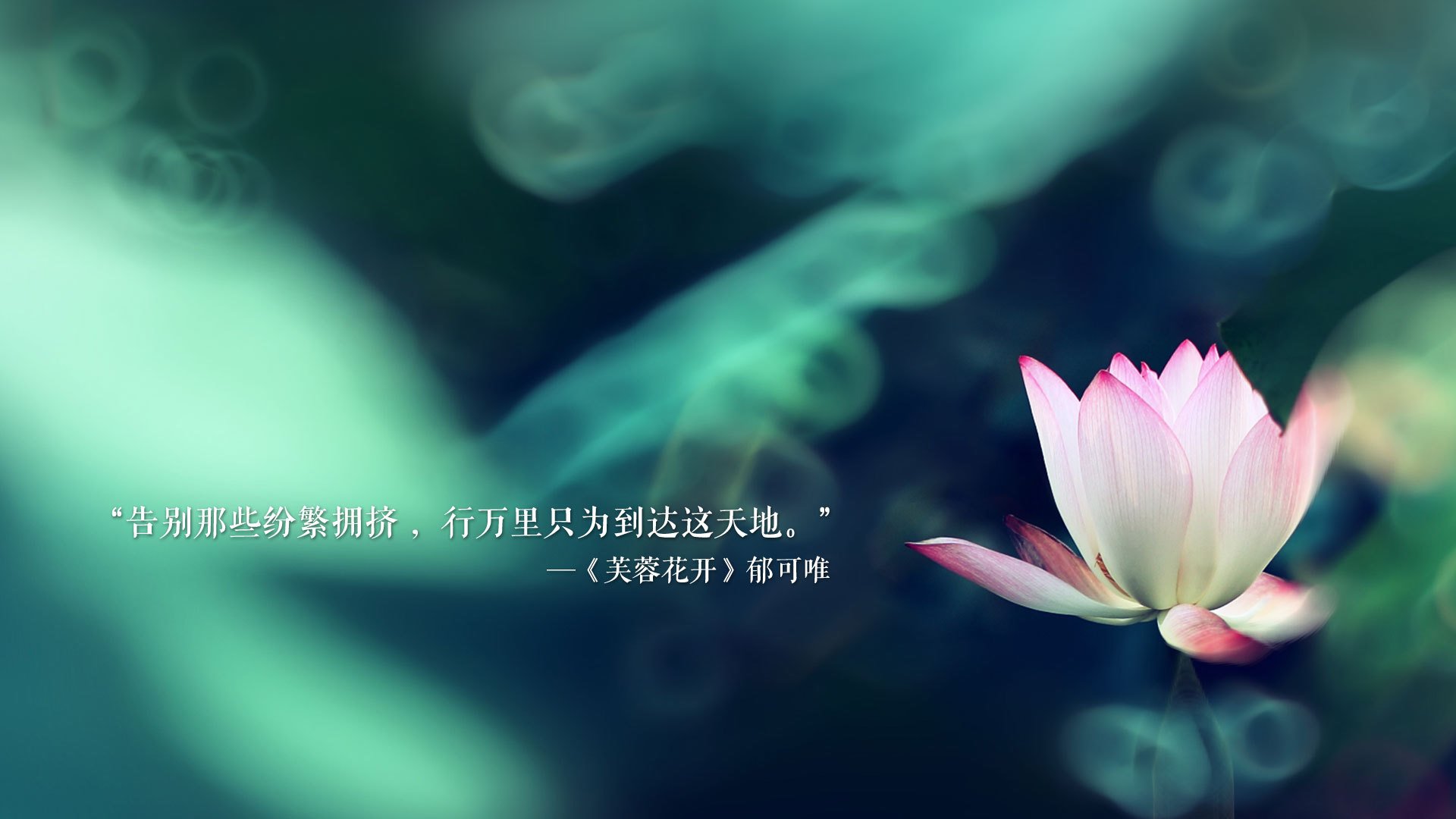 沙漠之狮的怒吼,2026世界杯A组,摩洛哥横扫哥伦比亚,哈兰德化身绿洲之王