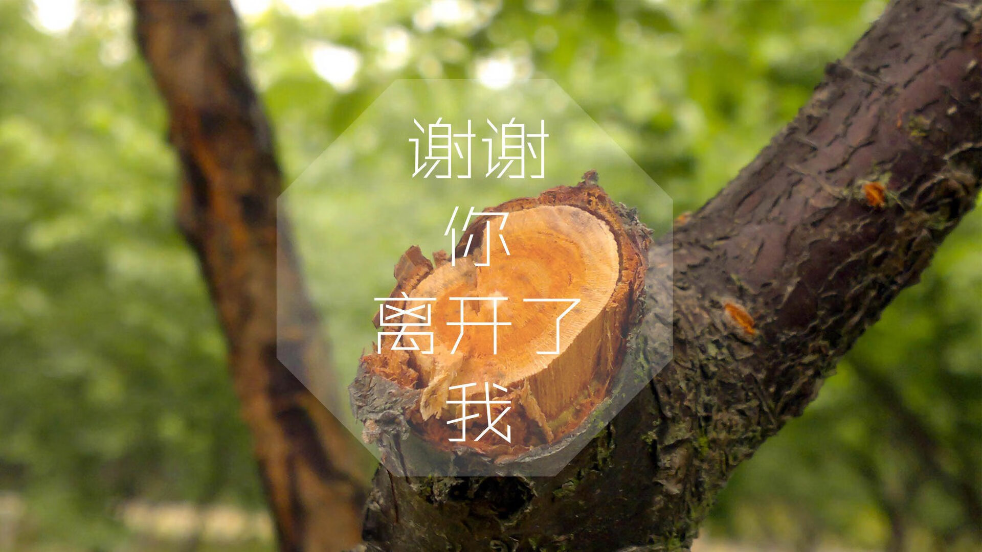 铁壁反击破星条,2026世界杯H组,斯洛伐克如何以费利克斯时刻击碎美国梦