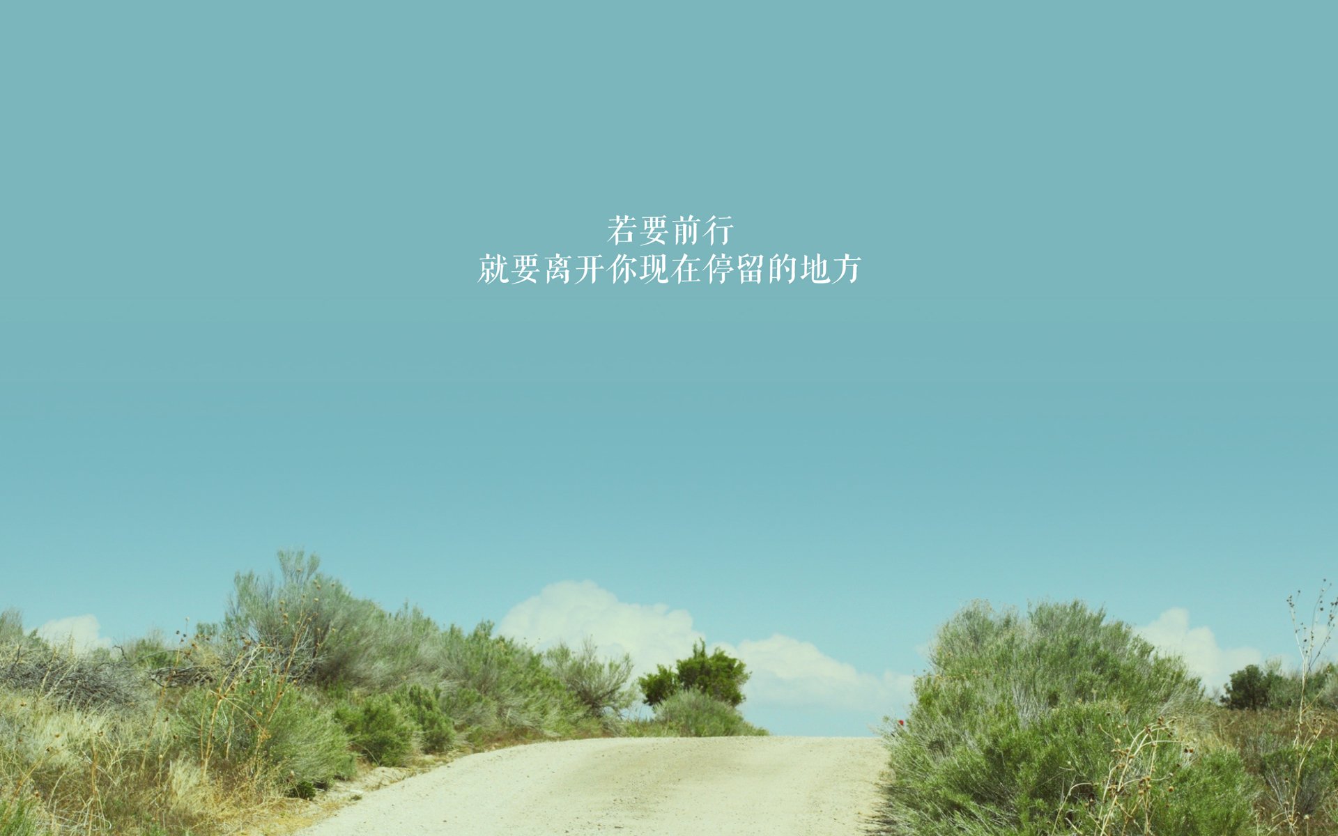 攻守交响曲,卢卡库主宰攻防转换,美国队以唯一性战术力克斯洛伐克—2026世界杯H组焦点战解码