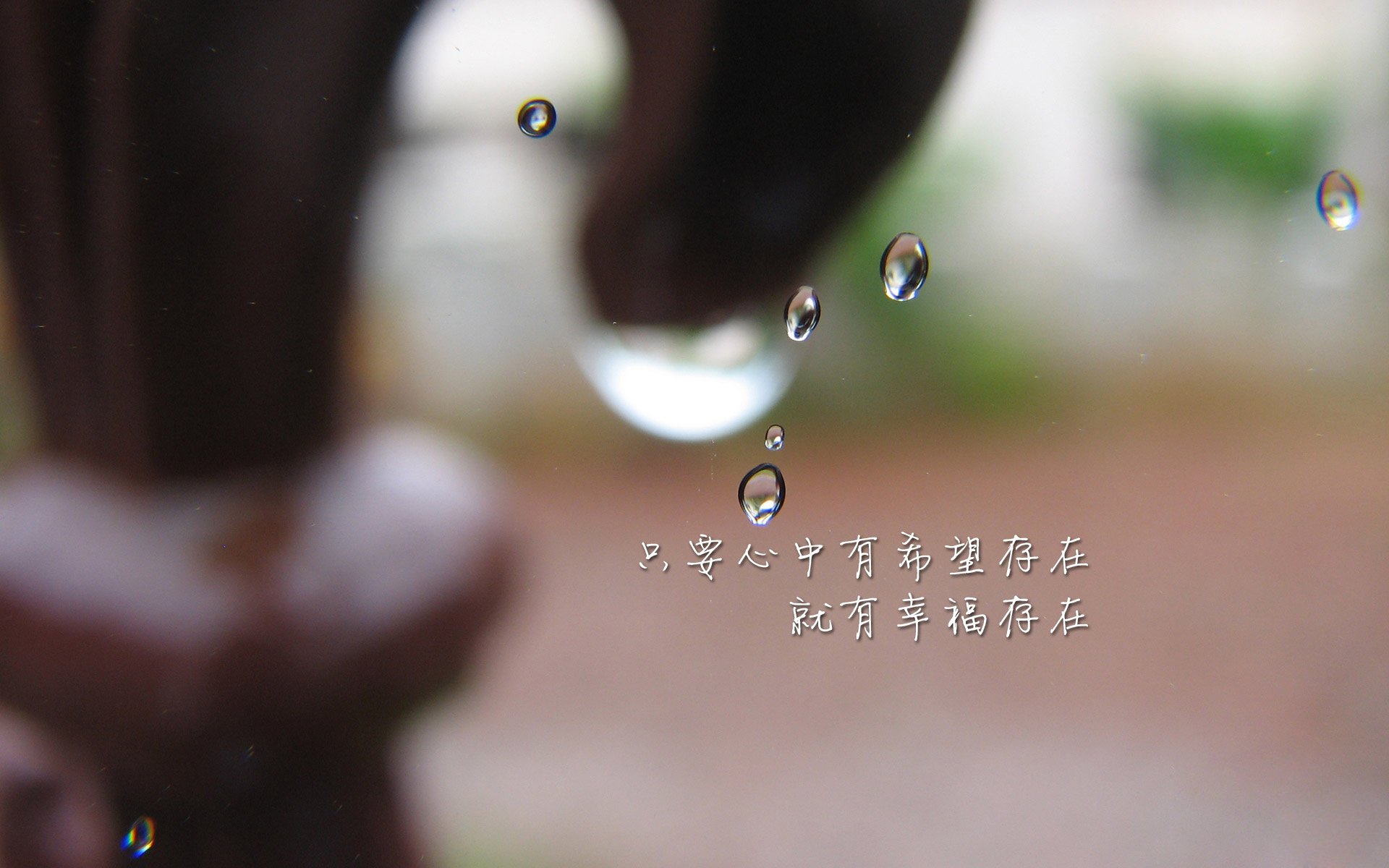攻守交响曲,卢卡库主宰攻防转换,美国队以唯一性战术力克斯洛伐克—2026世界杯H组焦点战解码