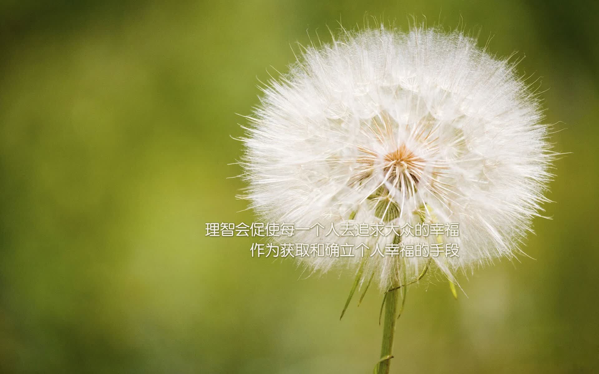 致命一击的瞬间,从斯洛伐克绝杀捷克看防守反击的永恒美学