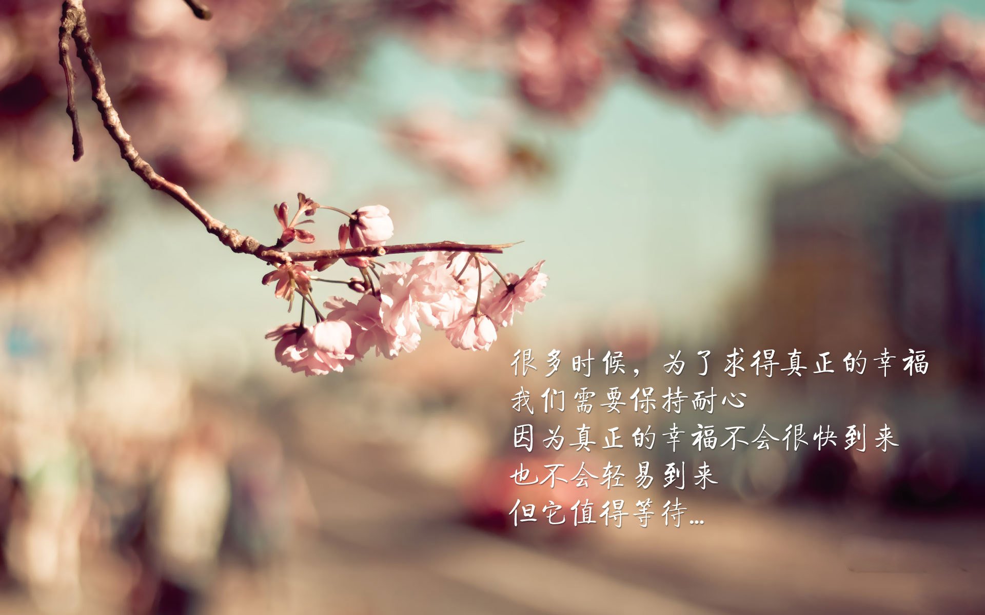 沙漠之狐的独白,2026世界杯出线战,努涅斯用一场胜利为摩洛哥正名